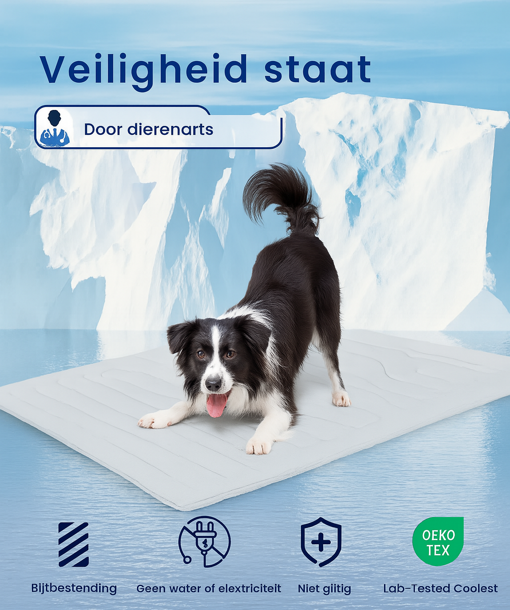 Koelmat voor Huisdieren – Fris & Comfortabel bij Hitte