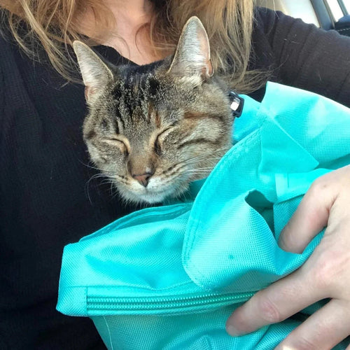 PurrPouch™ - Comfort en Rust voor Katten, Gemak voor Jou!