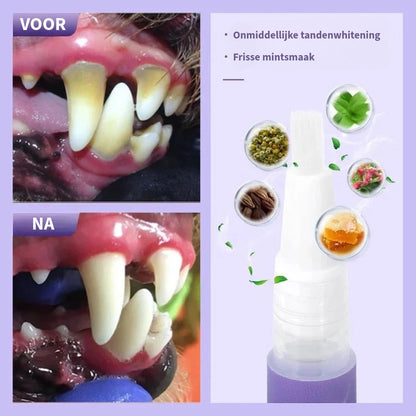 Tandherstelgel voor Katten & Honden