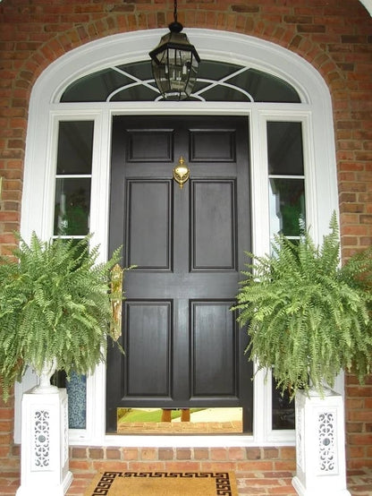 Levensechte kunstmatige Boston varen | Geen onderhoud nodig!