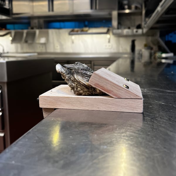 Professionele Oesteropener