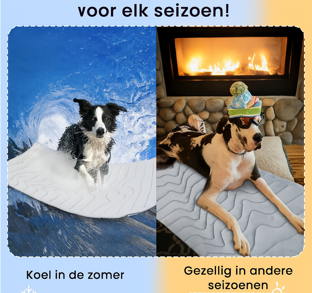 Koelmat voor Huisdieren – Fris & Comfortabel bij Hitte