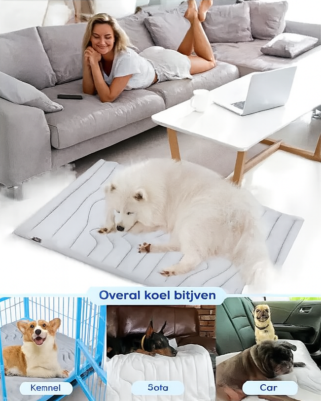 Koelmat voor Huisdieren – Fris & Comfortabel bij Hitte