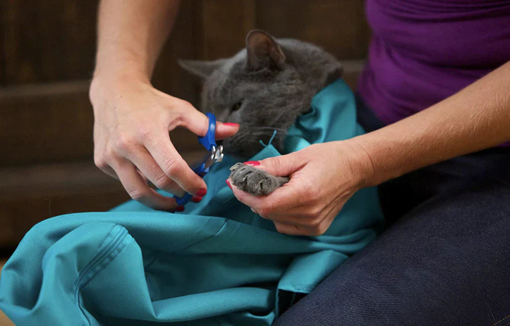 PurrPouch™ - Comfort en Rust voor Katten, Gemak voor Jou!