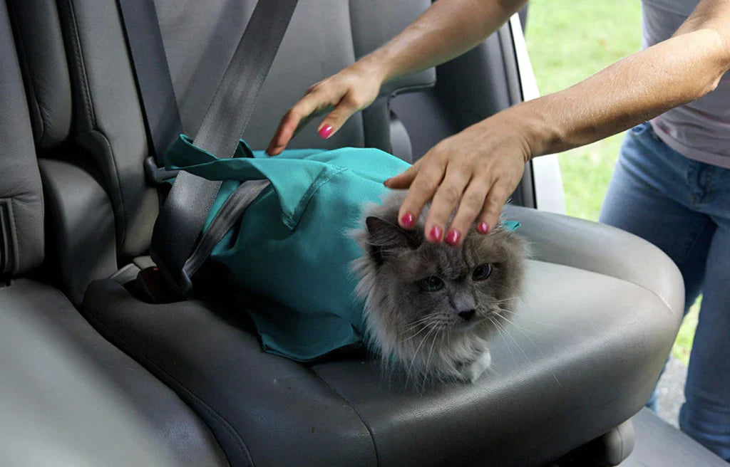 PurrPouch™ - Comfort en Rust voor Katten, Gemak voor Jou!