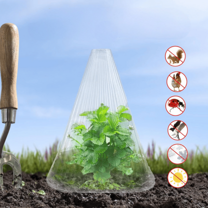 Planten Beschermingshoezen