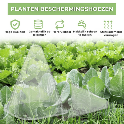 Planten Beschermingshoezen