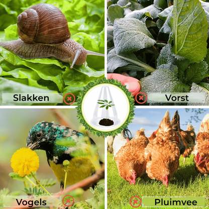 Planten Beschermingshoezen