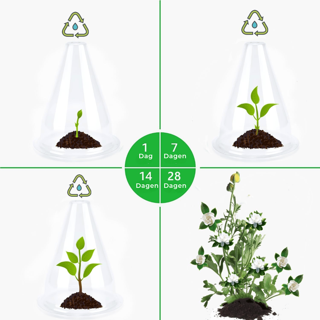 Planten Beschermingshoezen