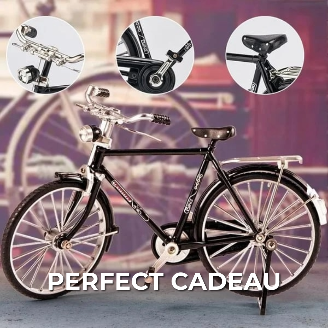 DIY- Fietsmodel